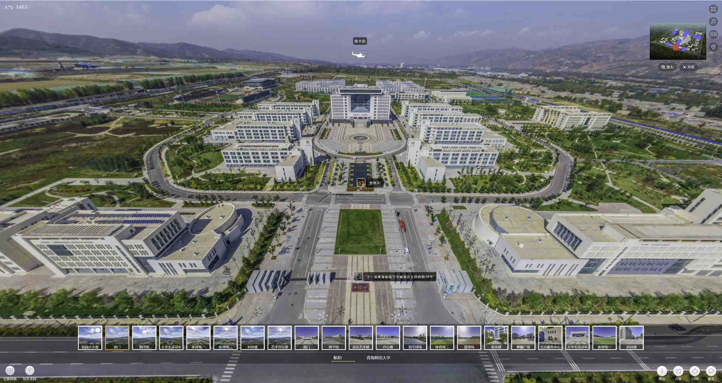 安塞油菜花-惊艳半生的花海仙境